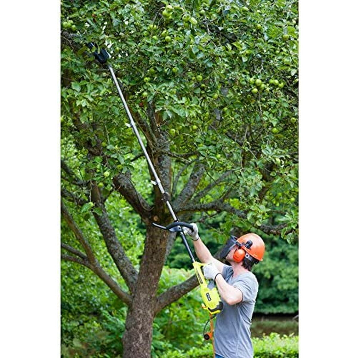 Una persona con equipaggiamento di sicurezza usa una motosega telescopica per tagliare un albero. L'albero ha foglie verdi e frutti verdi.