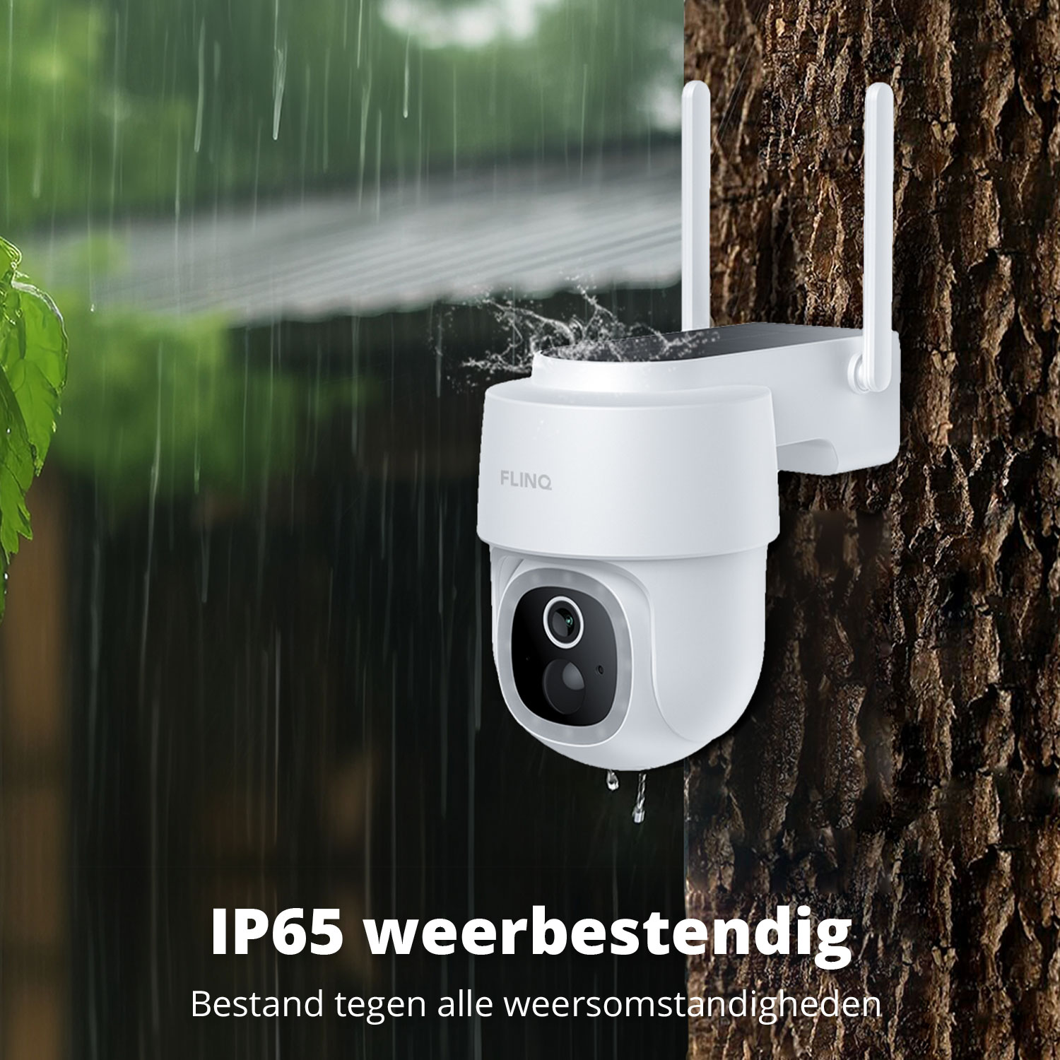 A white security camera is mounted on a tree. It's raining. Text reads 'IP65 weatherproof, resistant to all weather conditions.'