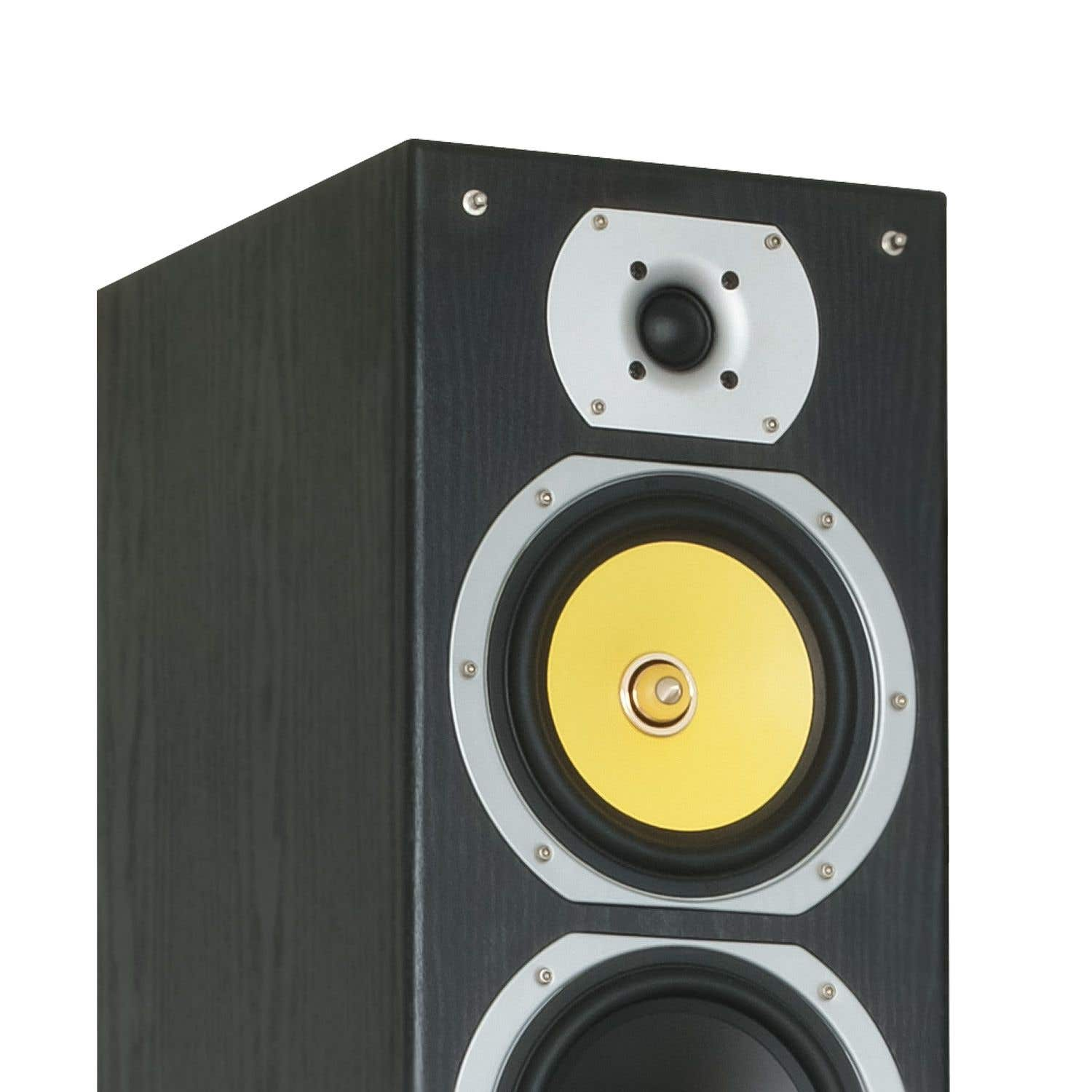 Un altavoz negro con anillos plateados y conos amarillos. Está sobre un fondo blanco.