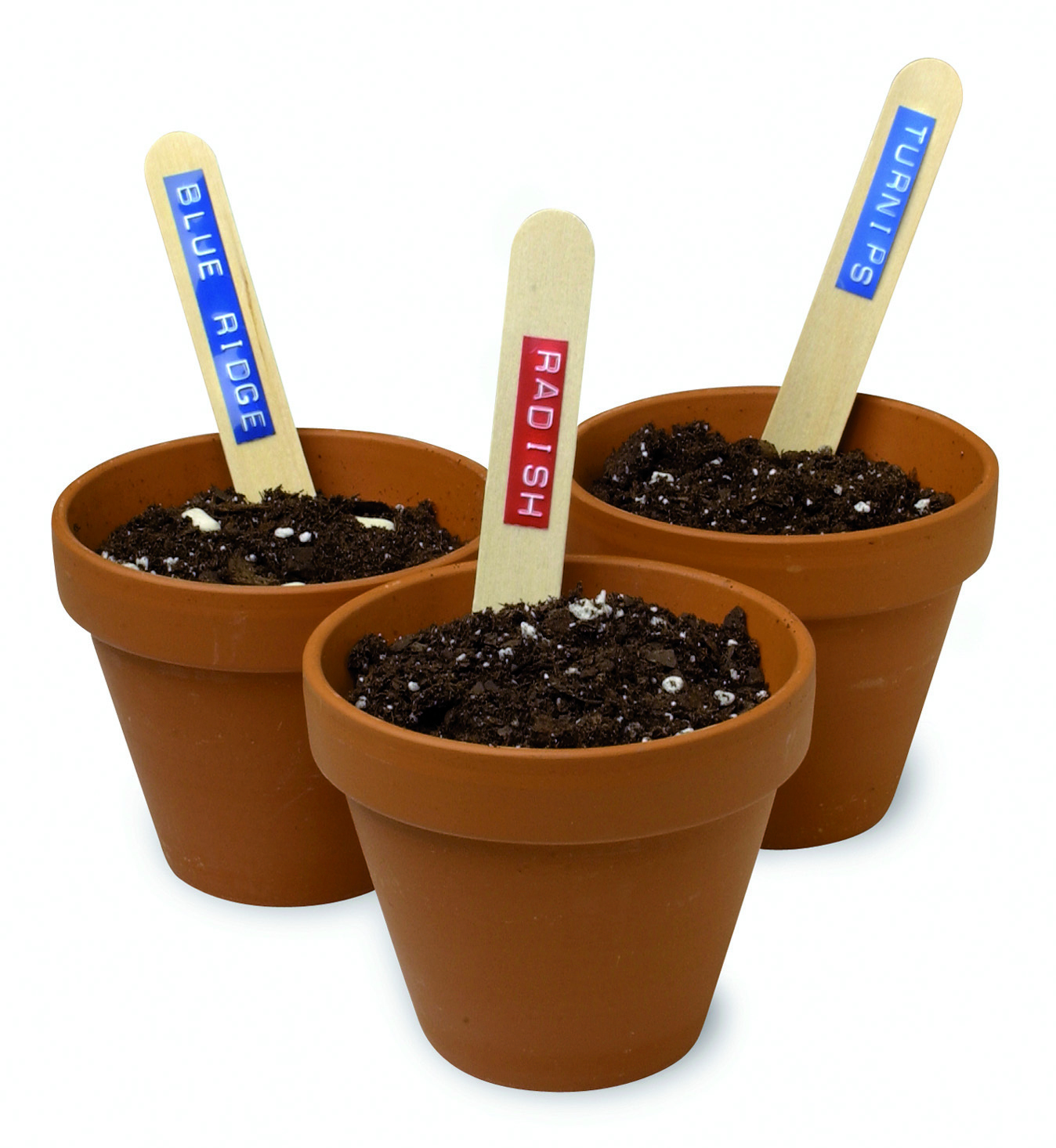 Trzy gliniane doniczki z ziemią i znacznikami roślin, które brzmią: Blue Ridge, Radish i Turnips. Białe tło.