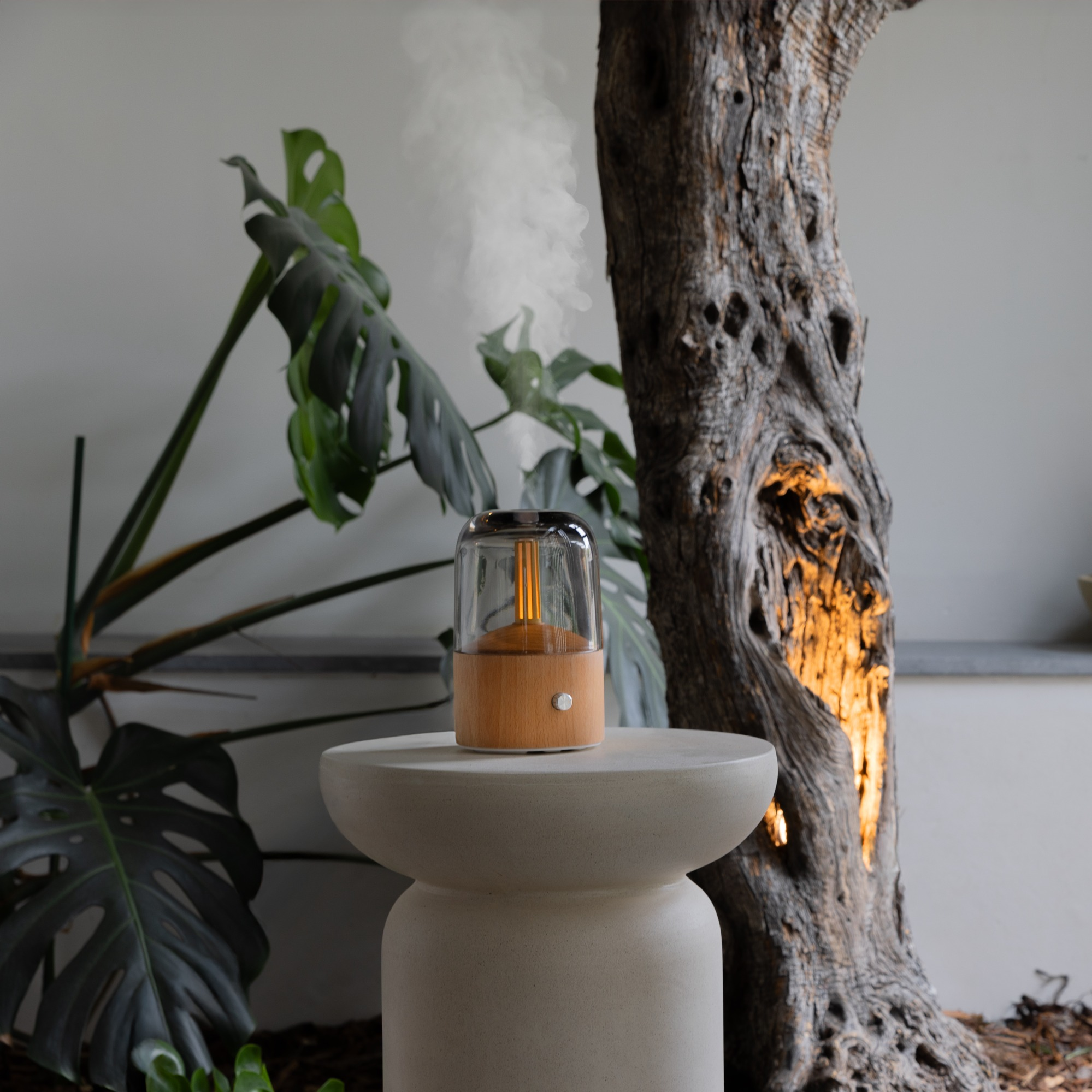Aromatherapy diffuser on a stone table. Tree trunk in the background, large green leaves on the left, and white vapor rising from the diffuser.