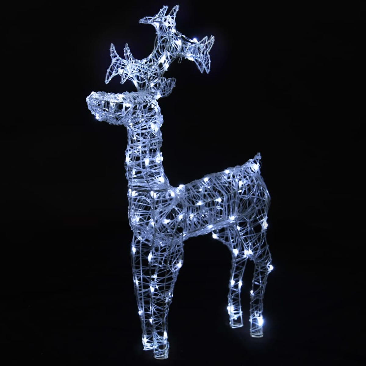 Eine beleuchtete Weihnachtsrentierdekoration vor schwarzem Hintergrund. Das Rentier besteht aus weißen Lichtern, mit Geweih und stehender Pose.