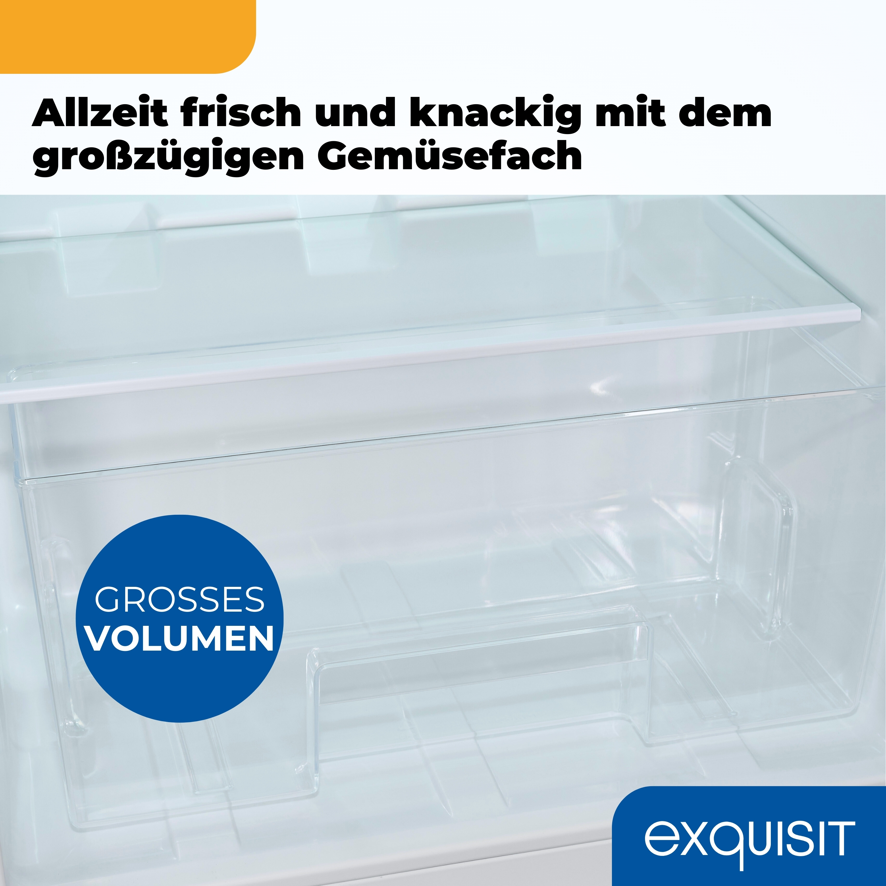 Im Kühlschrank ist eine transparente Gemüseschublade sichtbar. Ein blauer Kreis sagt 'GROSSES VOLUMEN'. Die Marke ist 'exquisit'.