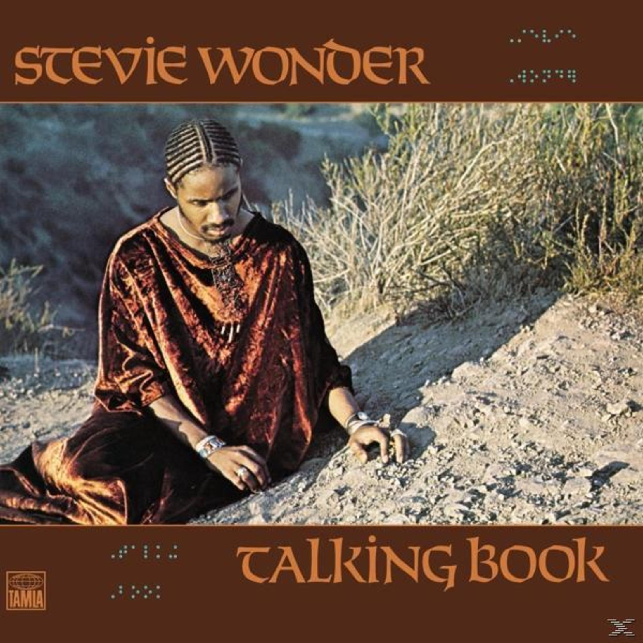 Copertina dell'album: Stevie Wonder in una veste marrone seduto sulla terra. Il titolo è "Talking Book".