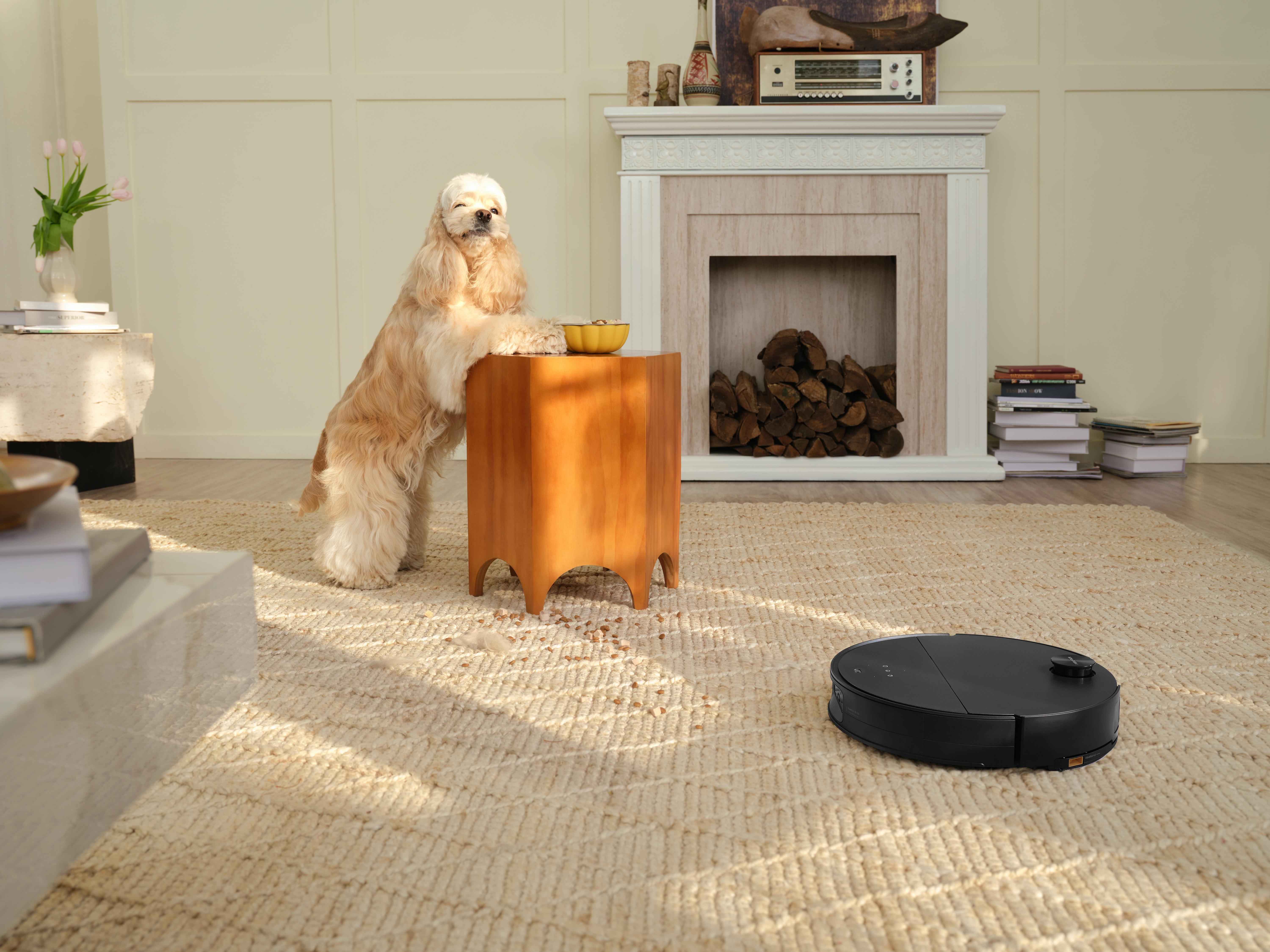 Een hond staat op achterpoten bij een tafel met een kom. Een robotstofzuiger staat op het tapijt.
