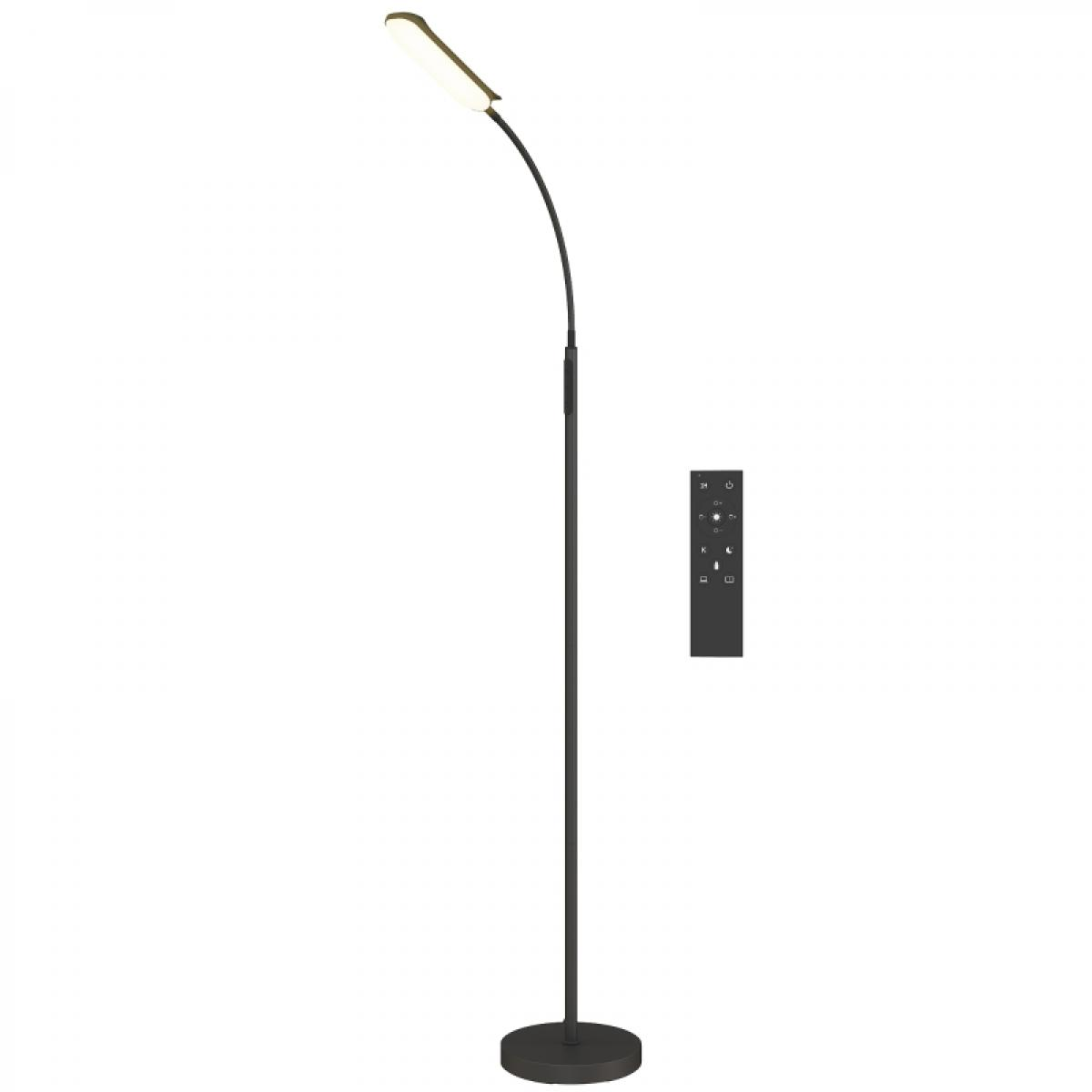 Eine schwarze, gebogene Stehlampe mit hellem Leuchtenkopf und Fernbedienung auf weißem Hintergrund.