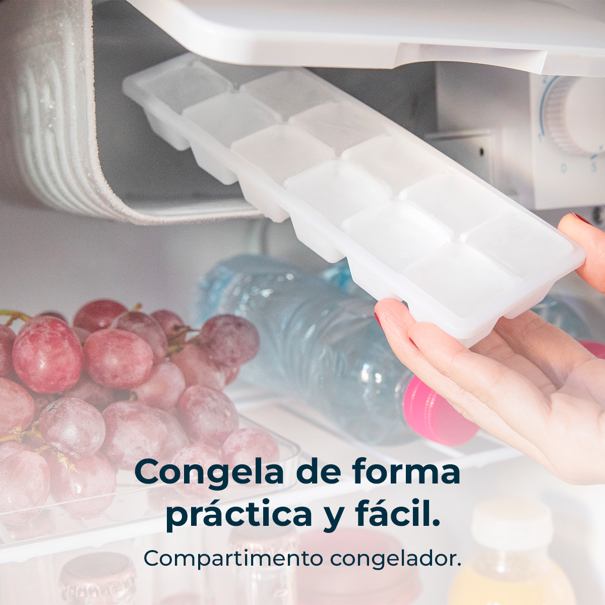 Una donna tiene un vassoio per cubetti di ghiaccio all'interno di un frigorifero. Uva e bottiglie d'acqua sono all'interno del frigo.