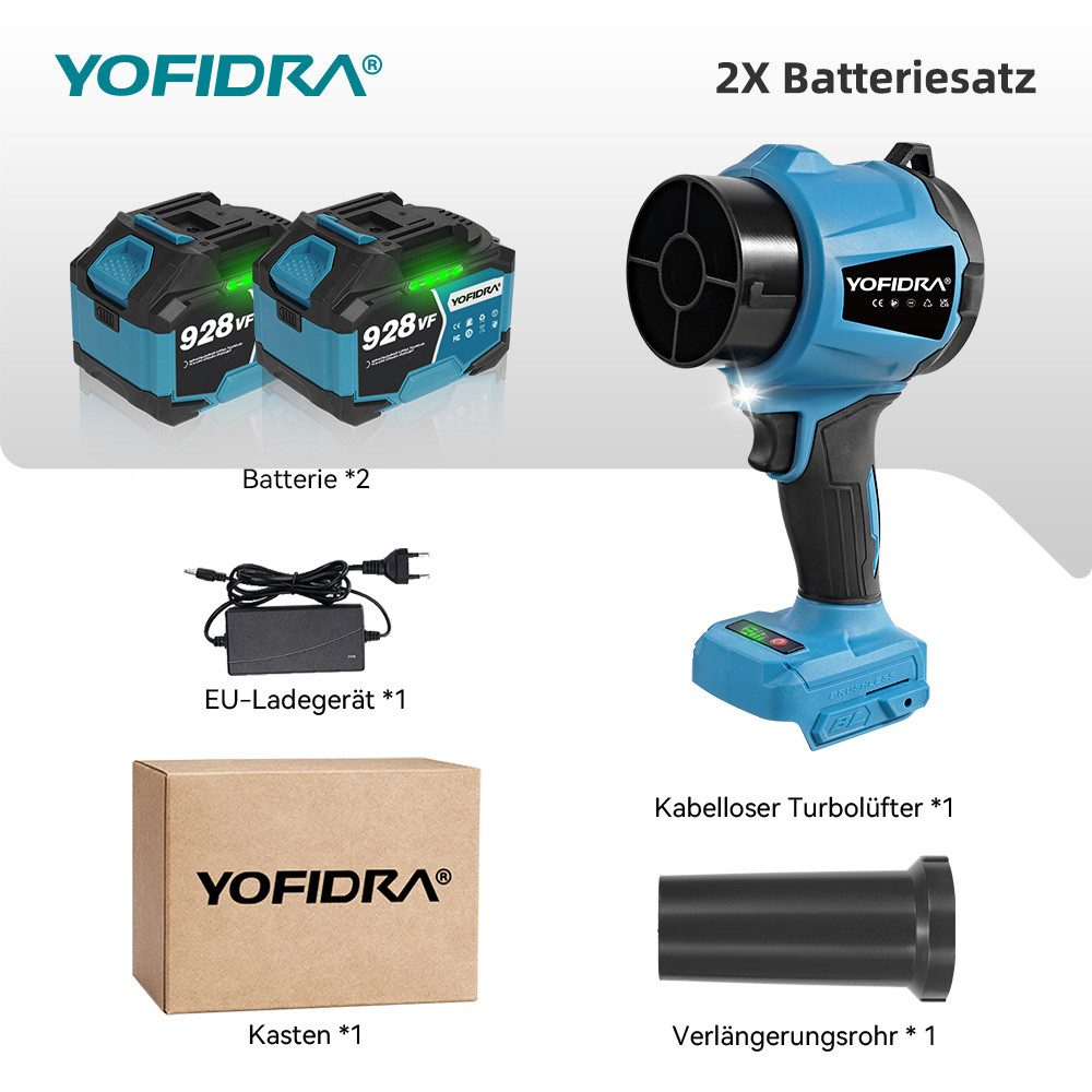 Das Bild zeigt zwei Batterien, ein Ladegerät, einen blauen kabellosen Turbofan, eine Box und ein schwarzes Verlängerungsrohr.