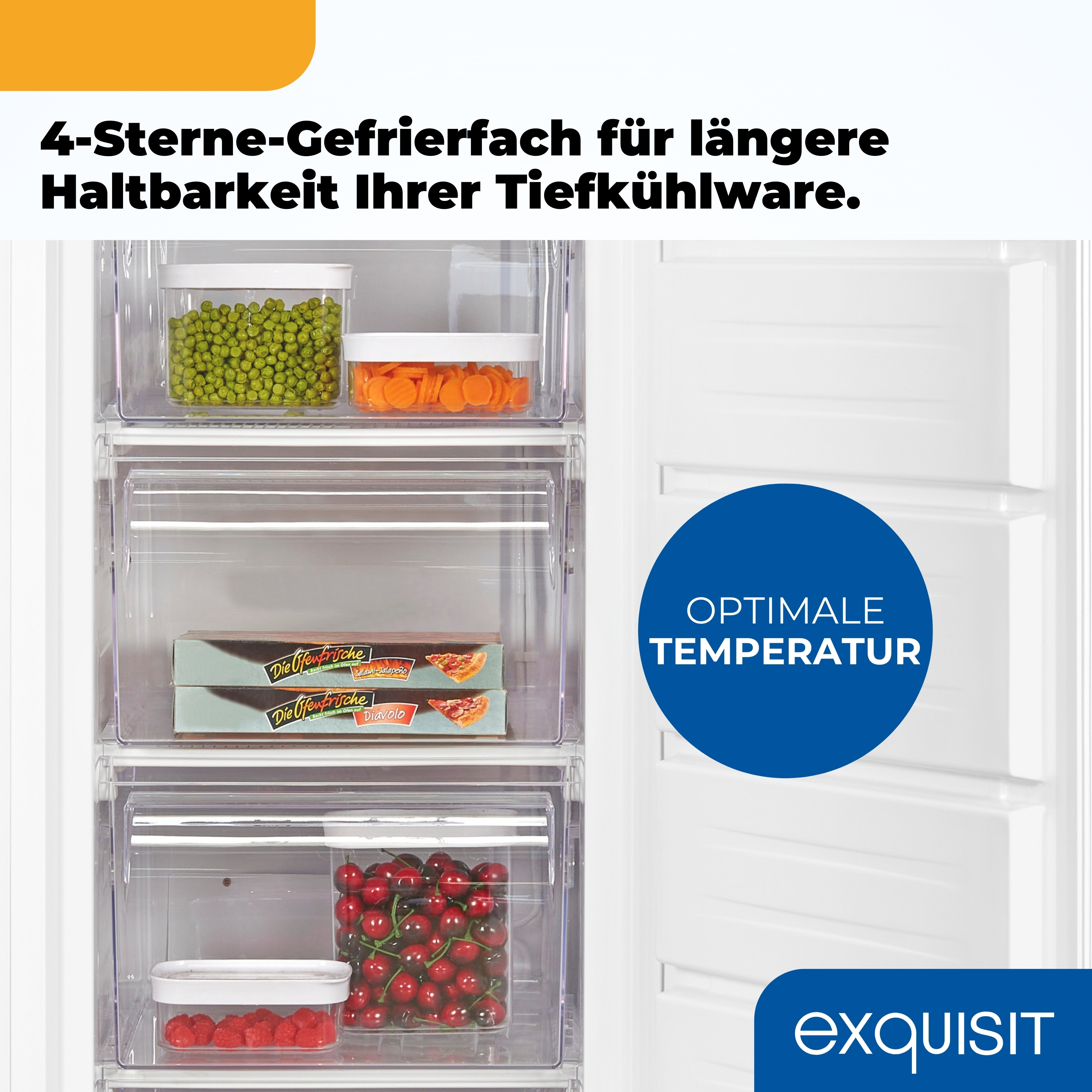 Ein Kühlschrank mit Tiefkühlkost in durchsichtigen Behältern. Erbsen, Karotten, Pizza, Himbeeren und Kirschen sind sichtbar.