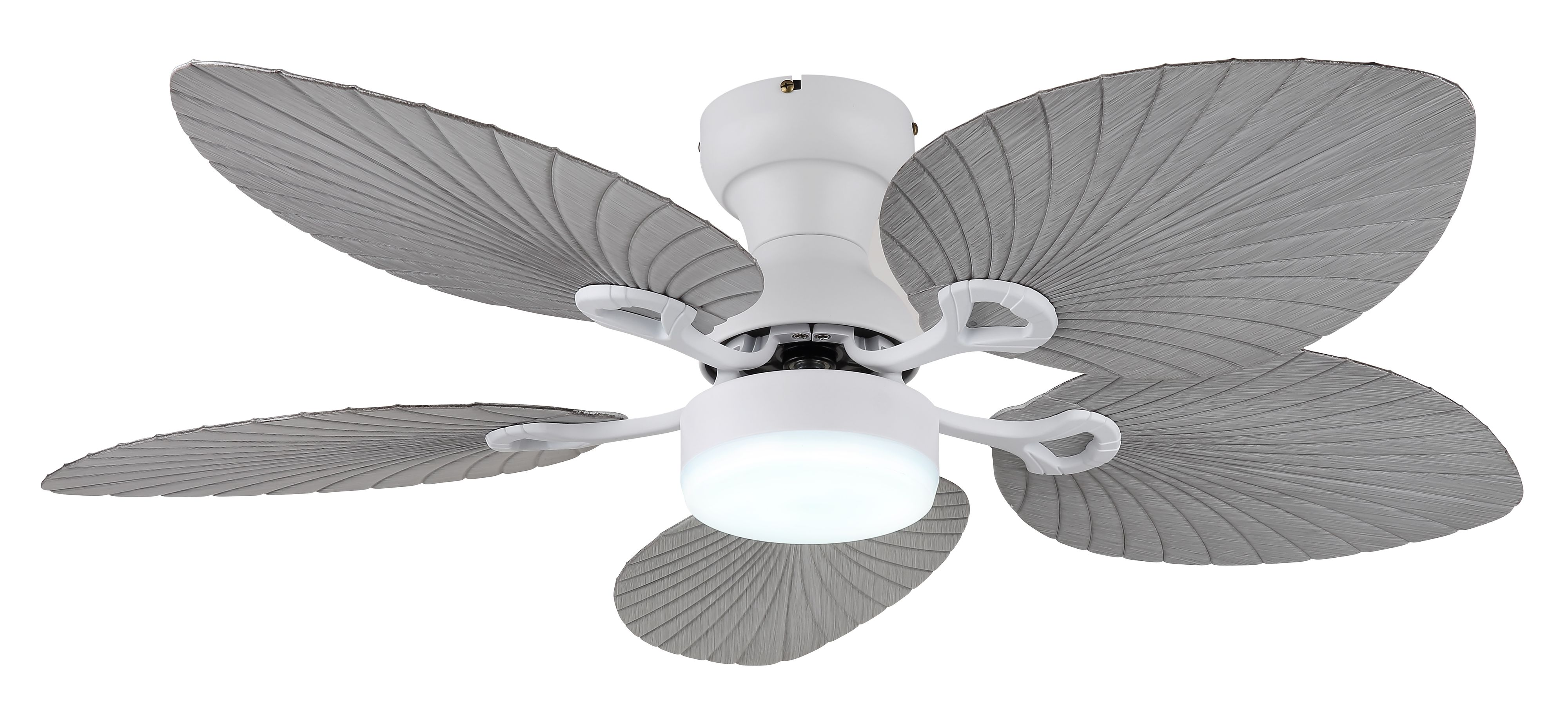 Ein weißer Deckenventilator mit fünf grauen Flügeln, einem weißen Sockel und einem zentralen Licht. Der Hintergrund ist weiß.