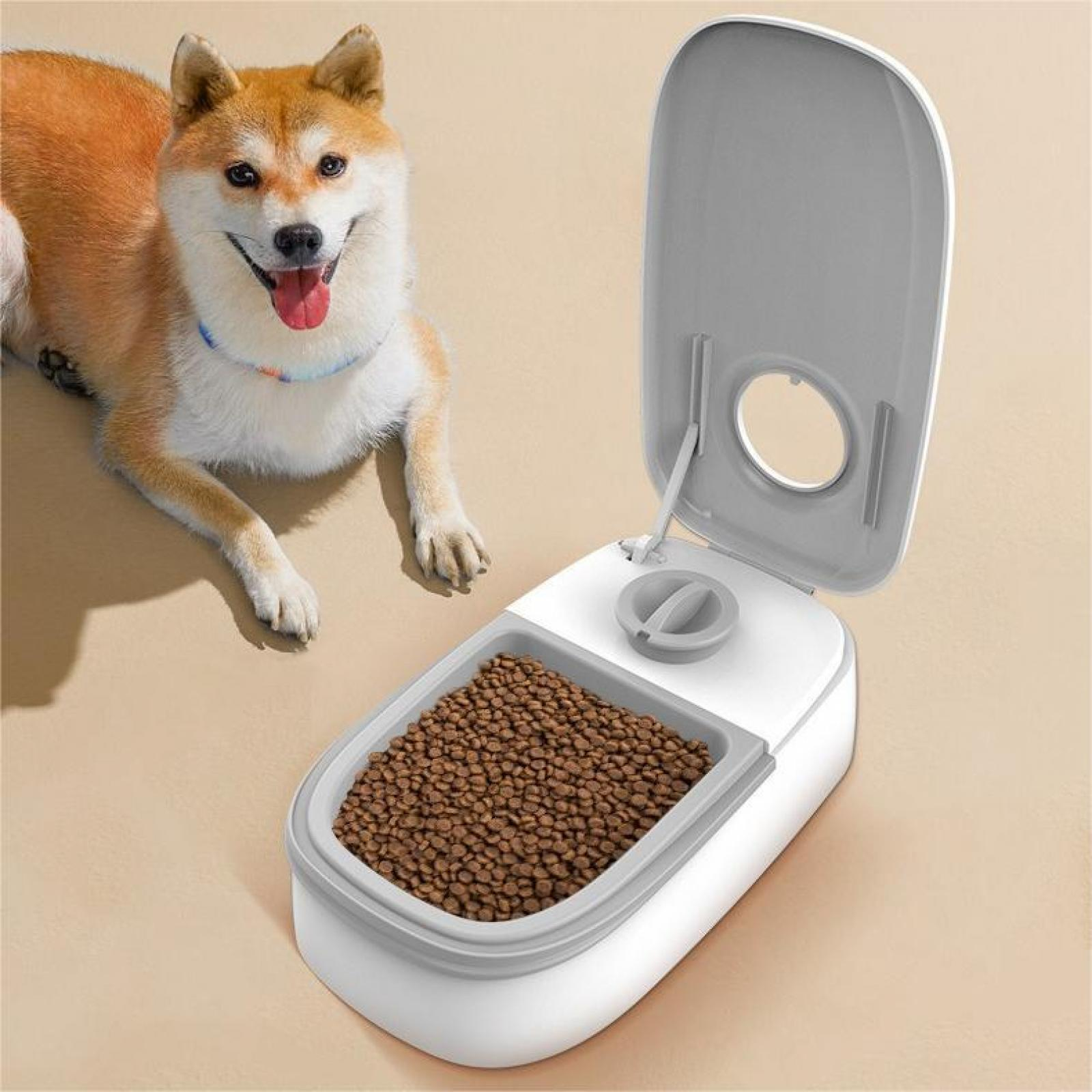 Ein lächelnder Shiba Inu-Hund neben einem offenen Futterautomaten mit braunen Kroketten.