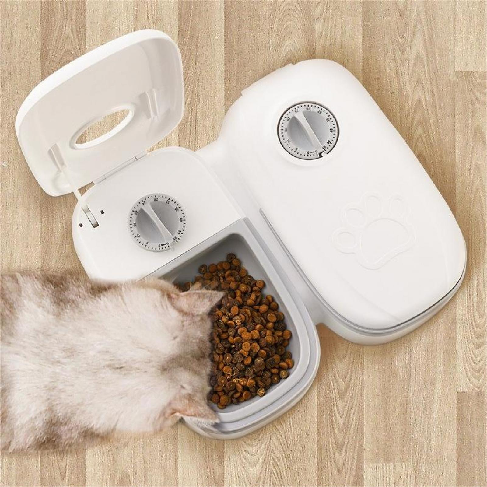 Eine weiße Katze frisst aus einem weißen, automatischen Futterautomaten. Der Futterautomat ist geöffnet und zeigt Trockenfutter. Ein Timer ist sichtbar.