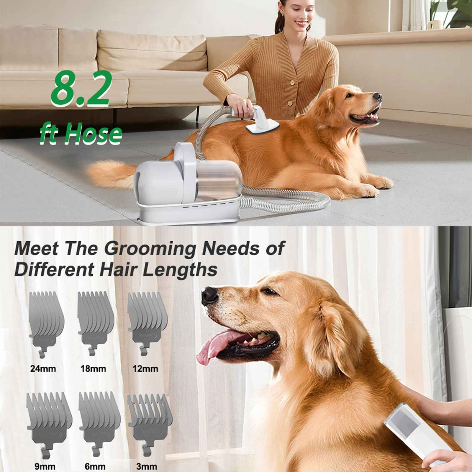 Eine Frau pflegt einen Golden Retriever mit einem Tierpflegegerät. Die Szene umfasst Pflegeaufsätze.