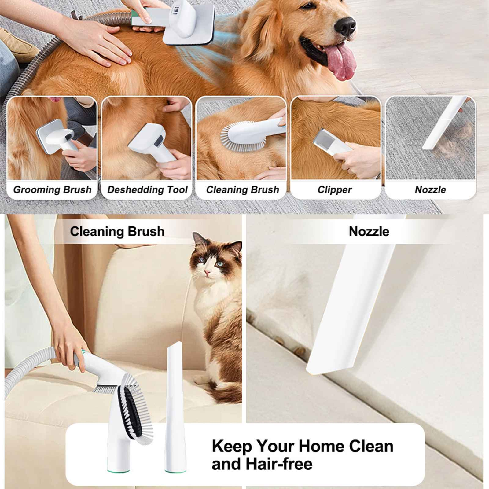 Ein Golden Retriever wird mit einem Entfilzungswerkzeug gepflegt. Auch Werkzeuge zum Reinigen, Clipper und Düse sind gezeigt.
