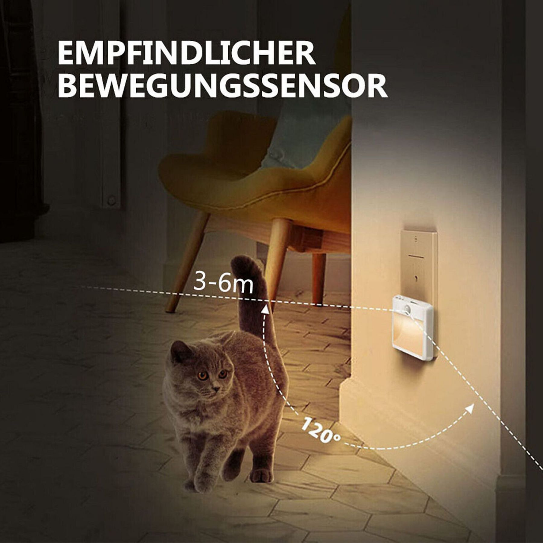 Eine graue Katze geht auf die Kamera zu. Ein Bewegungsmelder befindet sich an der Wand, im Hintergrund ein Stuhl.