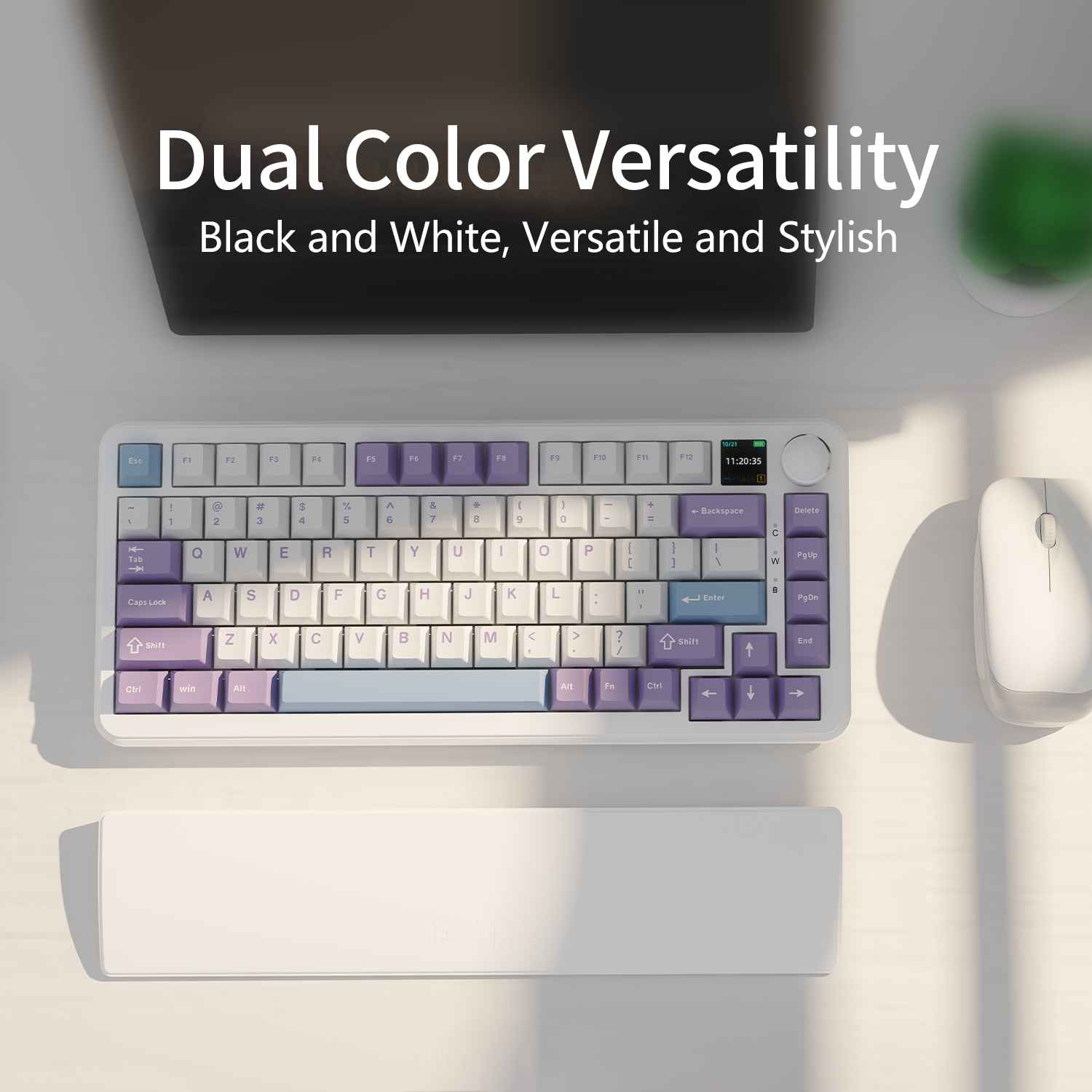 Eine weiße Tastatur mit lila und blauen Tasten. Eine weiße Maus und eine weiße Handgelenkauflage daneben.