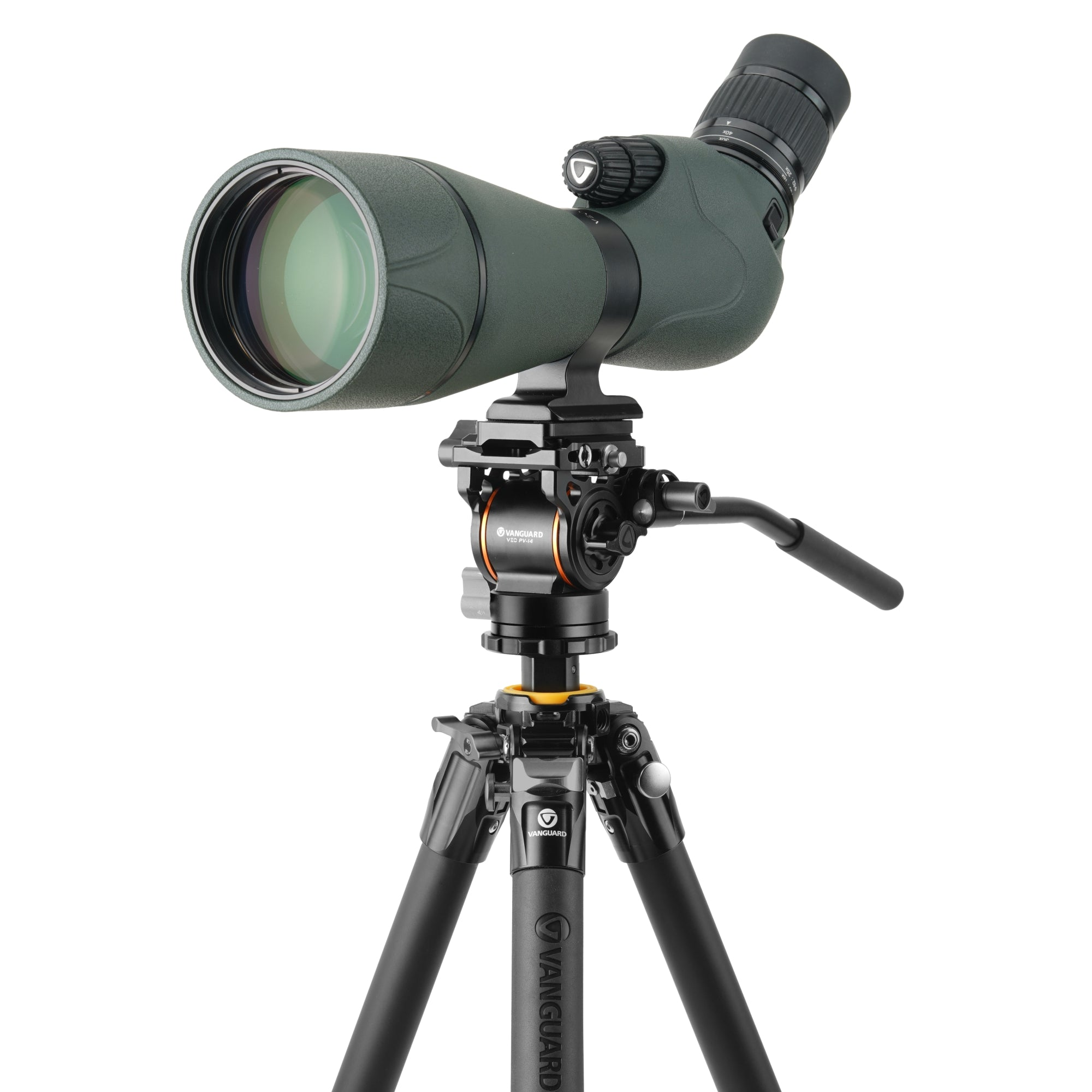 Un telescopio terrestre verde está montado en un trípode negro. El telescopio está inclinado hacia arriba, y las patas del trípode son negras.