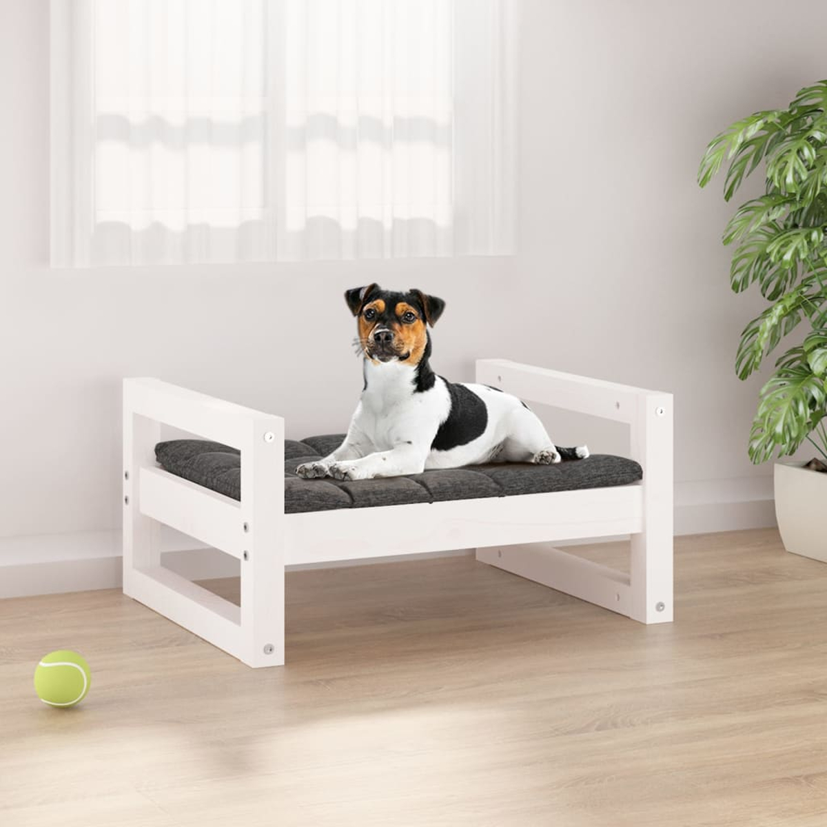 Ein Hund liegt auf einem Hundebett. Der Hund ist schwarz, weiß und braun. Auf dem Boden liegt ein Tennisball und rechts eine Pflanze.