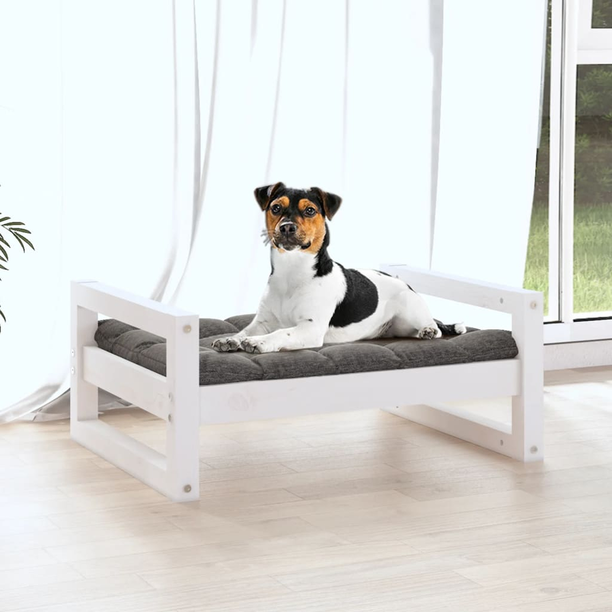 Ein Hund ruht auf einem grauen Kissen in einem weißen Holzbett. Der Hund hat schwarz-weißes Fell. Weiße Vorhänge und ein Fenster sind im Hintergrund.