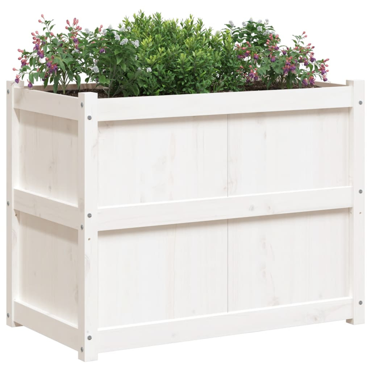 Eine weiße Holzkasten mit grünen Pflanzen und lila und weißen Blumen gefüllt. Die Kiste hat ein einfaches Design.