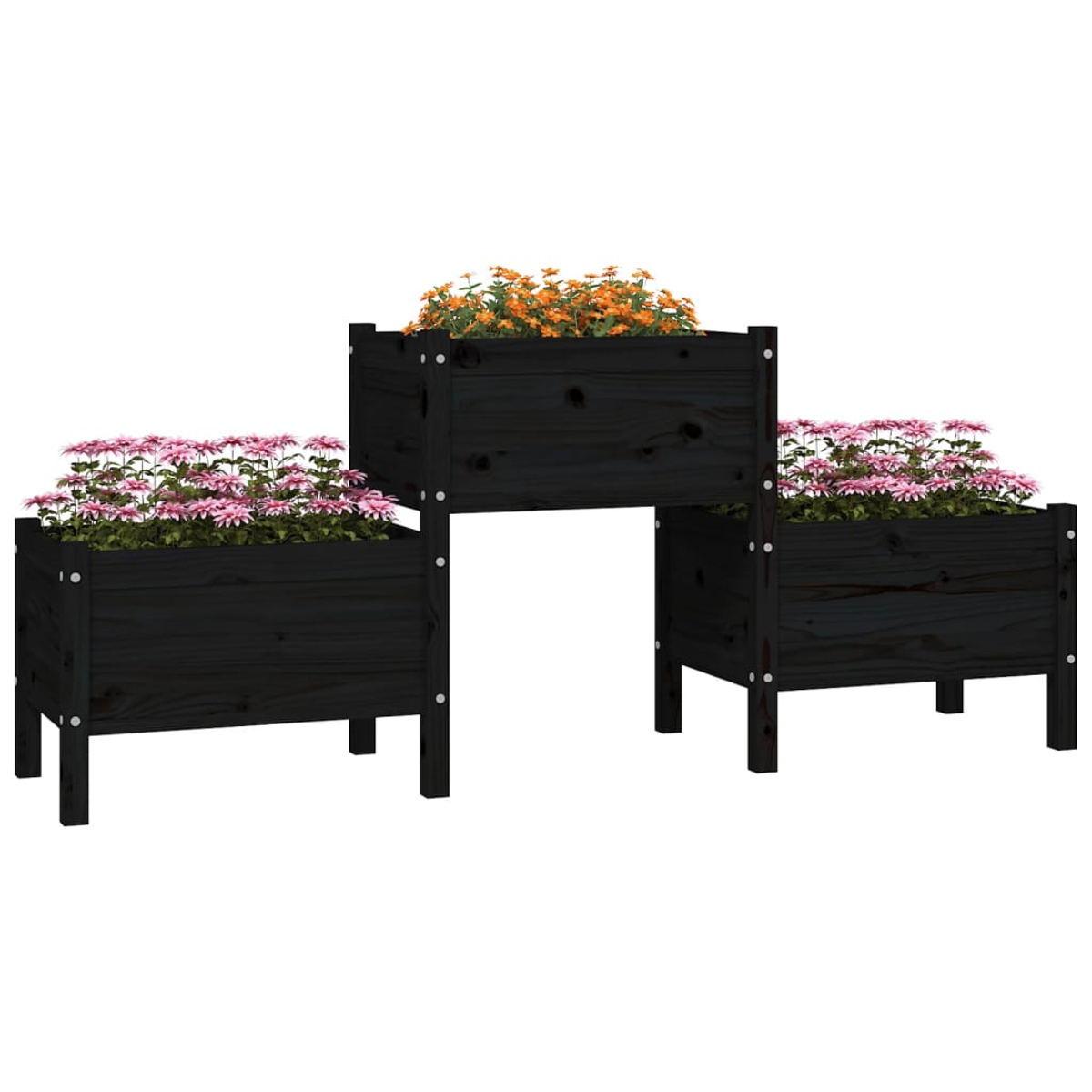 Drei gestaffelte Holzpflanzkästen mit Blumen. Rosa Blumen in zwei Pflanzkästen, orange Blumen in einem.