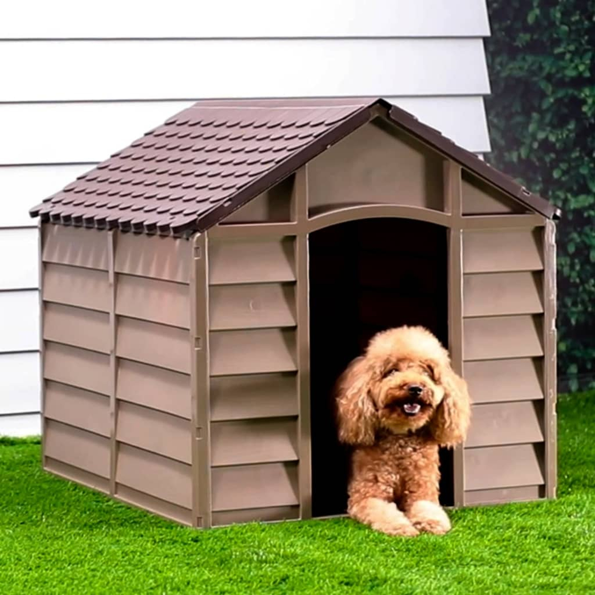 Ein brauner Hund befindet sich in einem braunen Hundehütte auf grünem Gras. Das Hundehütte hat ein braunes Dach. Weiße Verkleidung ist im Hintergrund.