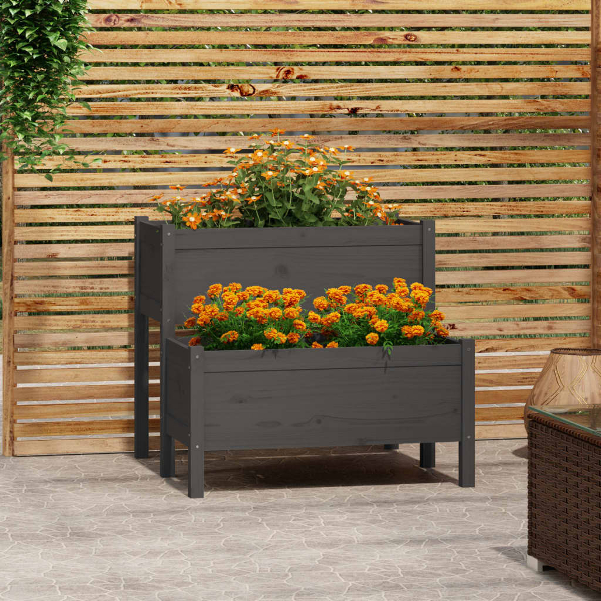 Zwei dunkelgraue Holzpflanzkästen mit orangen Blumen stehen auf einer Terrasse. Im Hintergrund ist ein Holzzaun. Links sind grüne Pflanzen.