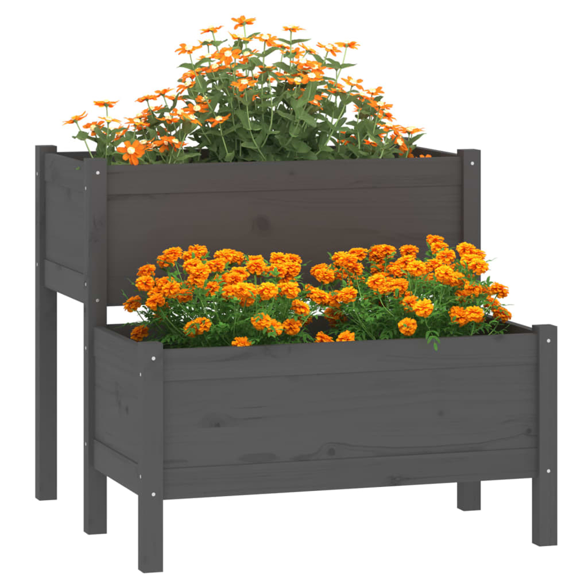 Ein zweistufiger Holzpflanzer mit orangefarbenen Blumen. Der Pflanzer ist dunkelgrau, und die Blumen leuchten gegen das Holz.