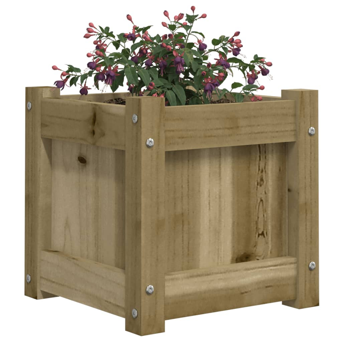 Holzpflanzkasten mit einer Pflanze. Die Pflanze hat grüne Blätter und lila und rosa Blüten. Die Box ist hellbraun.
