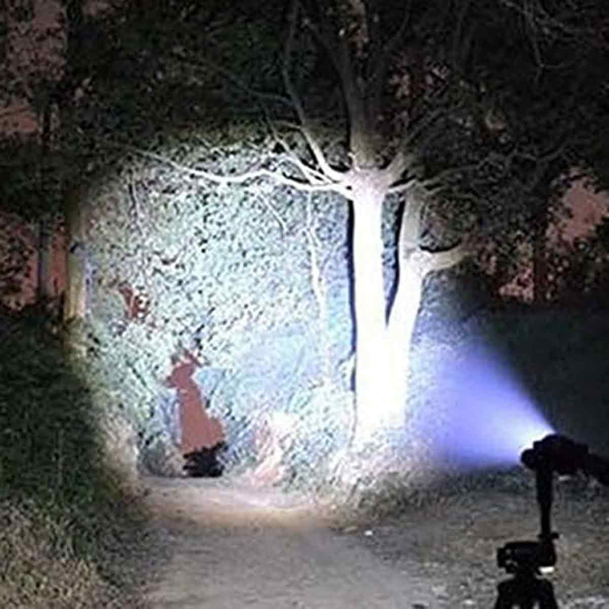 Eine Taschenlampe beleuchtet einen Baum und eine Person in einem Tunnel. Der Weg ist dunkel. Die Person trägt ein rotes Kleid.