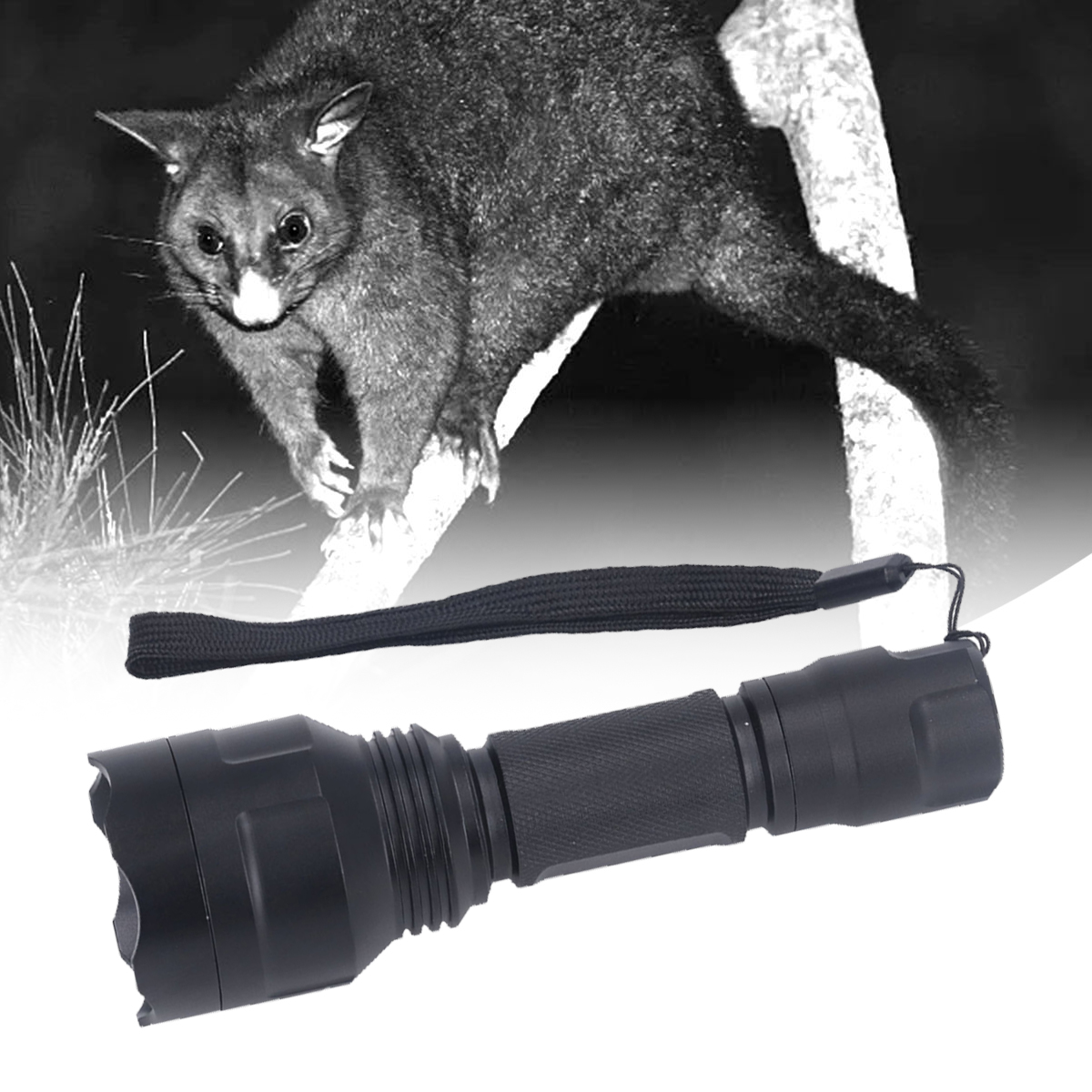 Schwarz-Weiß-Bild eines Possums auf einem Ast über einer schwarzen Taschenlampe mit Handschlaufe.