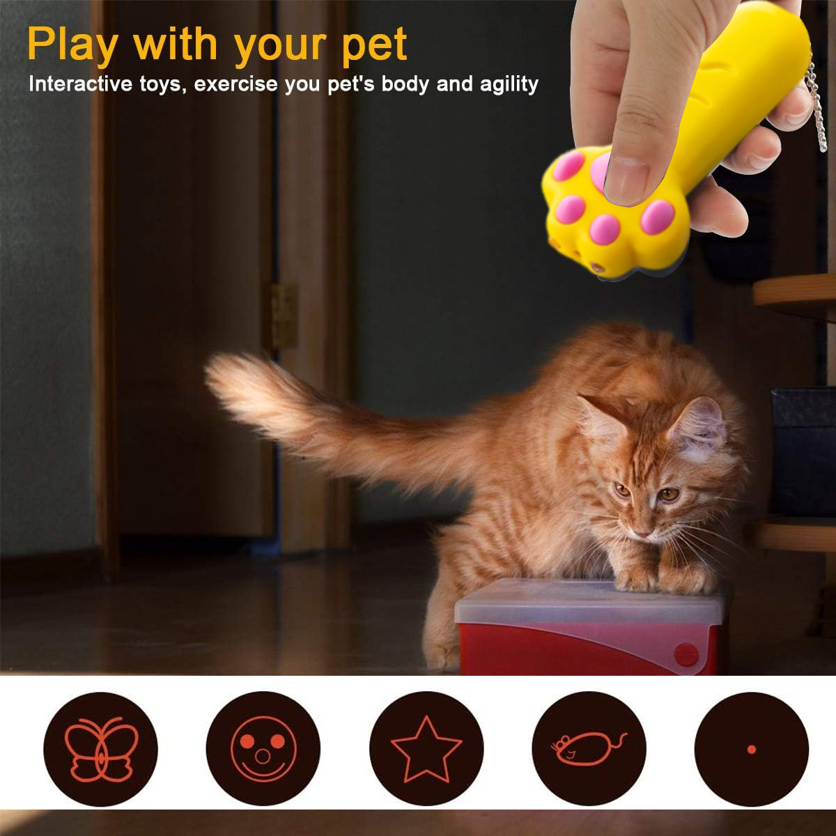 Ein gelber Laserpointer wird über einer orangefarbenen Katze gehalten. Die Katze befindet sich auf einer roten Kiste. Der Hintergrund ist ein dunkler Raum.