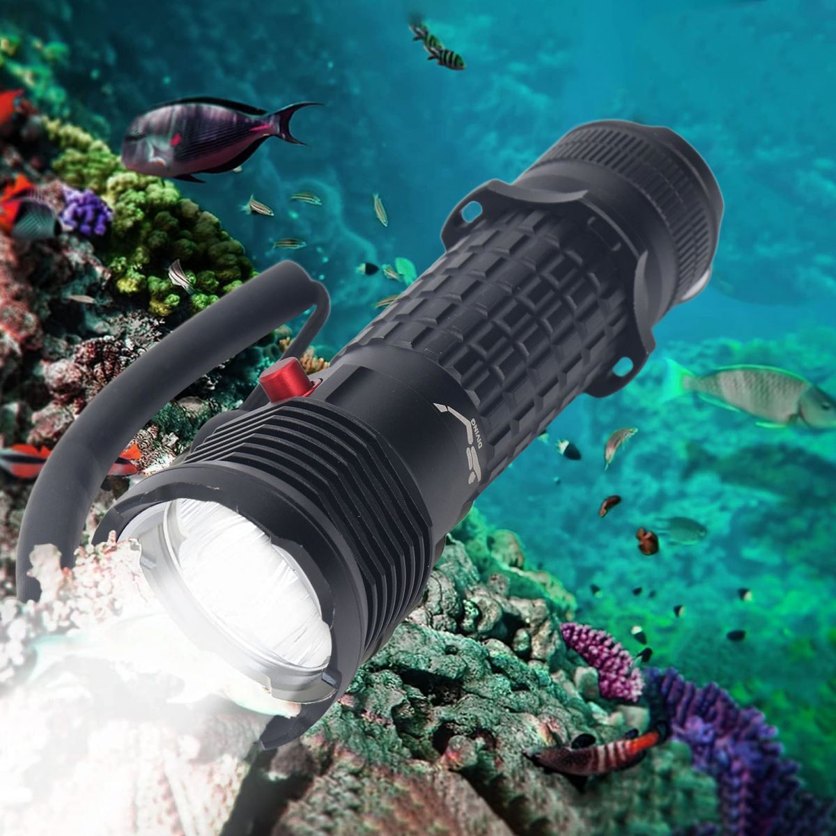 Unterwasserszene mit einer schwarzen Tauchlampe und verschiedenen schwimmenden Fischen. Korallenriff im Hintergrund mit bunten Fischen.