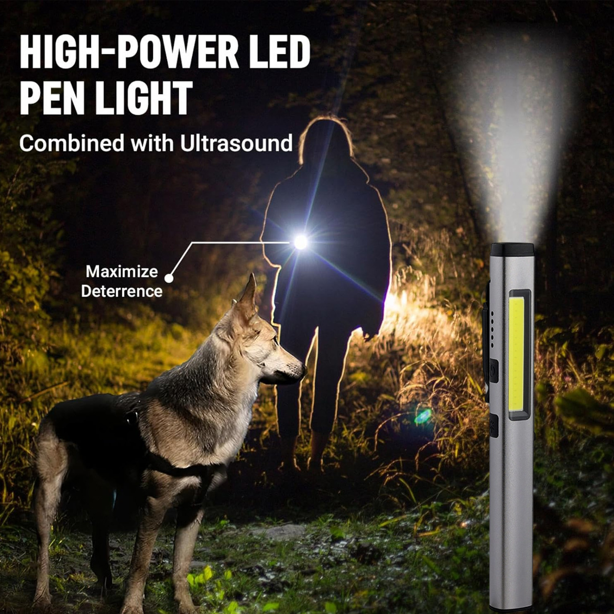 Eine Taschenlampe leuchtet in einem Wald bei Nacht auf eine Person und einen Hund. Text: 'High-Power LED Pen Light'.