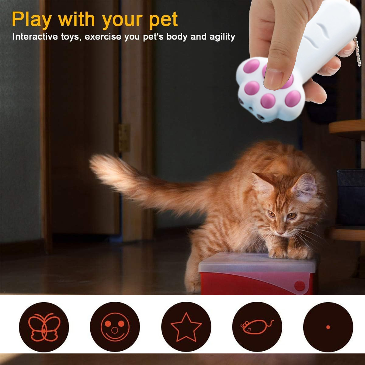 Eine Hand hält ein pfotenförmiges Spielzeug über einer orangefarbenen Katze. Die Katze sitzt auf einer roten Box. Text: Spiele mit deinem Haustier, interaktives Spielzeug.
