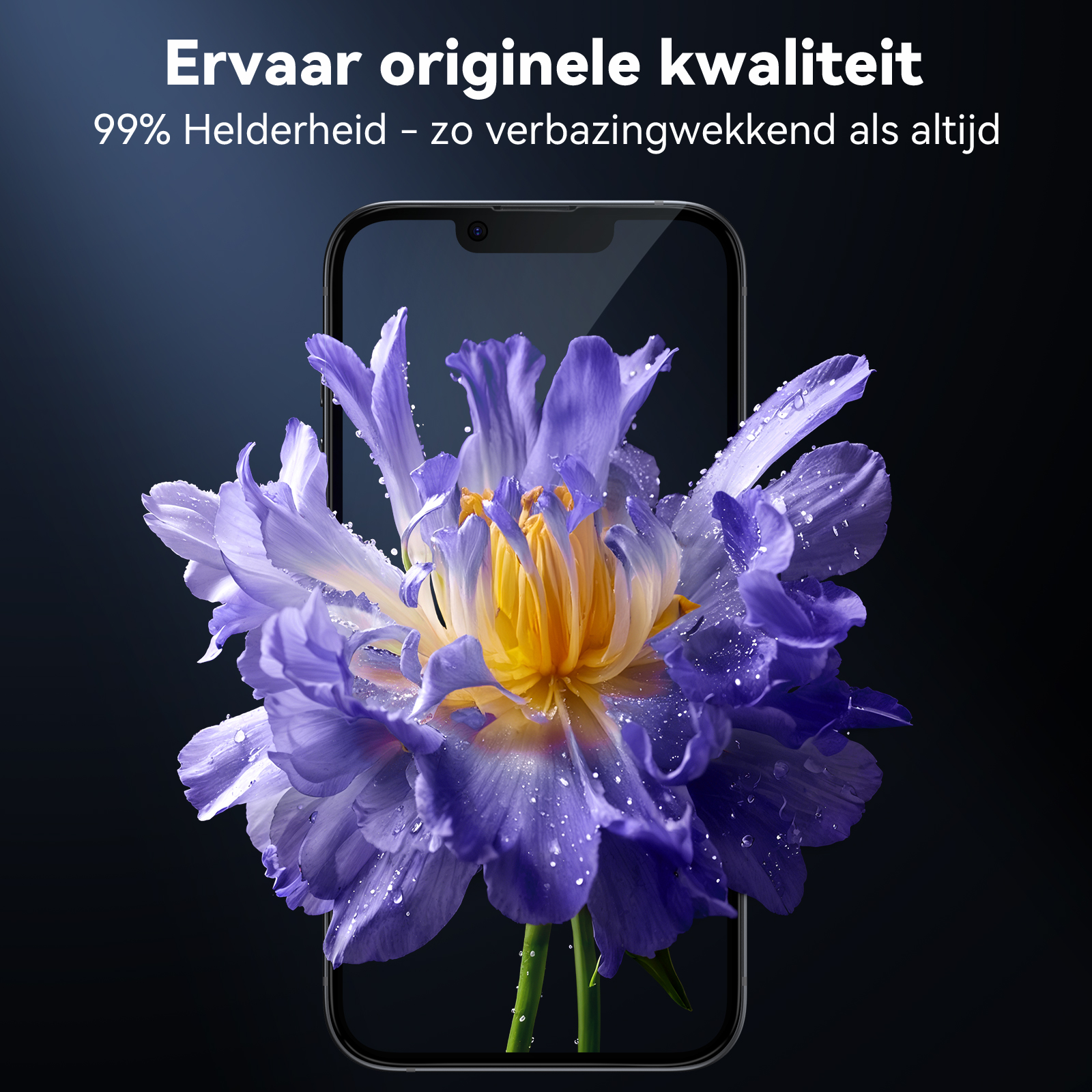 Ein Telefon zeigt eine lila Blume mit gelbem Zentrum. Wassertropfen auf den Blütenblättern. Schwarzer Hintergrund.