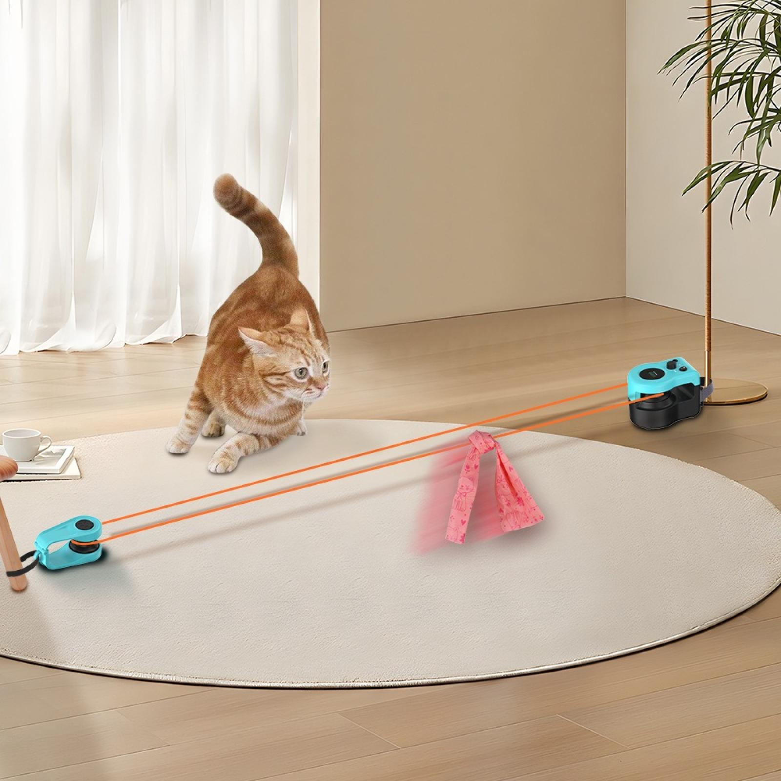 Eine rot getigerte Katze beobachtet ein Spielzeug mit rosa Stoff auf einem weißen Teppich. Zwei blaue Spielzeugmaschinen auf dem Teppich.