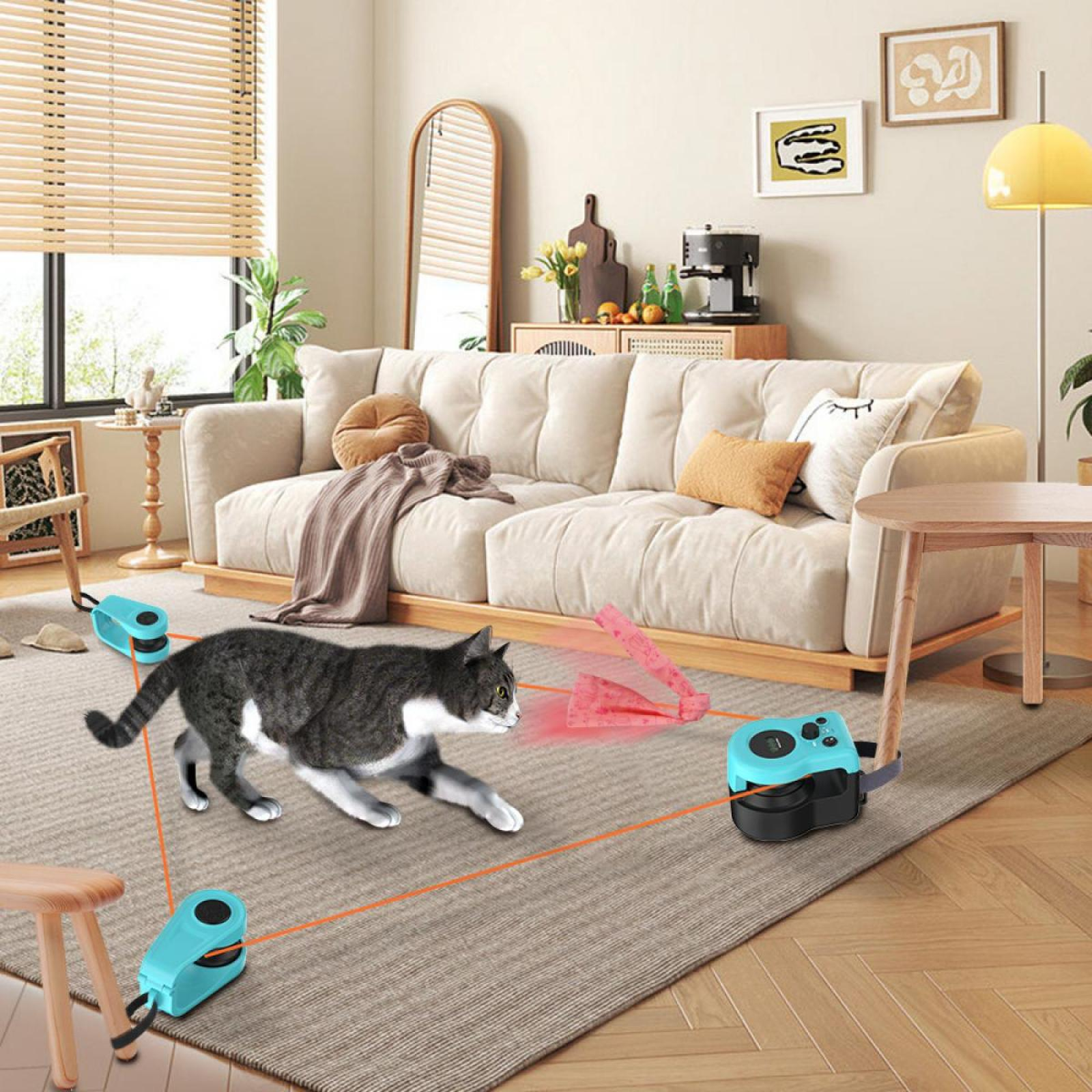 Eine graue Katze spielt mit einem Laserpointer-Spielzeug. Die Katze ist in einem Wohnzimmer mit Sofa und Teppich.