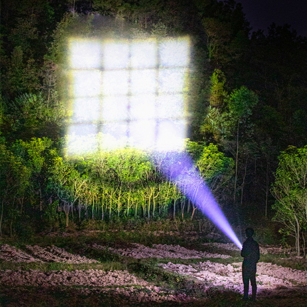 Eine Person hält eine Taschenlampe und beleuchtet eine gitterartige Form in den Bäumen. Der Strahl ist lila. Wald im Hintergrund.