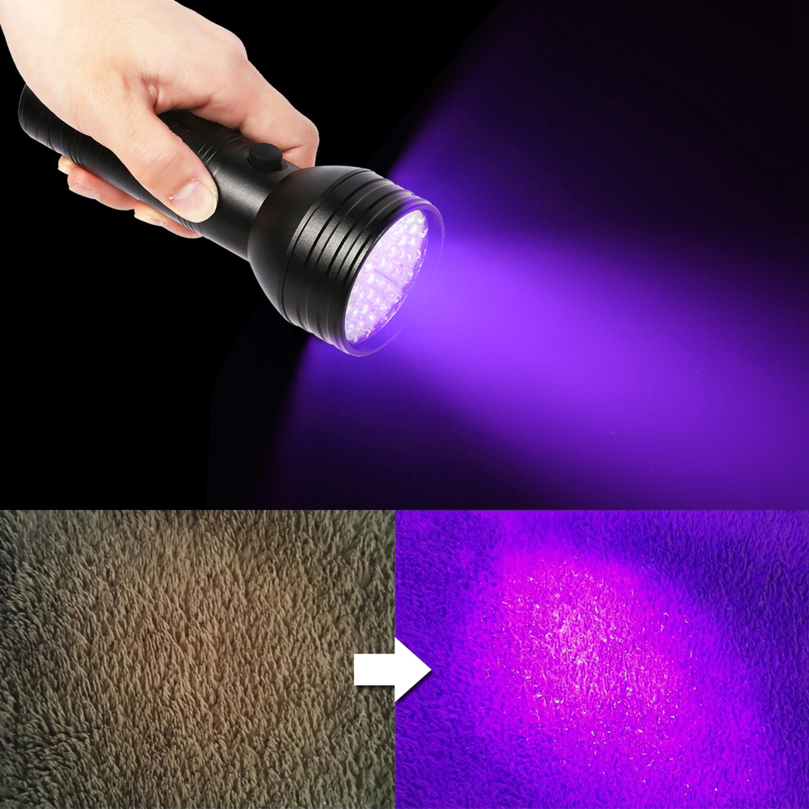 Hand hält eine schwarze UV-Taschenlampe. Der Strahl leuchtet lila auf einem Teppich und zeigt Vorher-Nachher-Effekt.