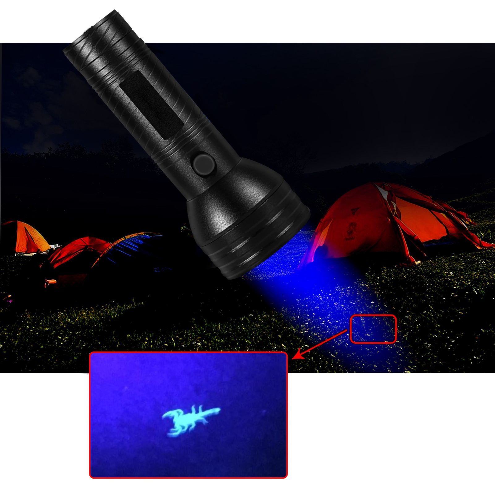 Eine schwarze Taschenlampe leuchtet blau auf Gras. Ein leuchtender Skorpion befindet sich im Lichtstrahl, im Hintergrund Zelte.