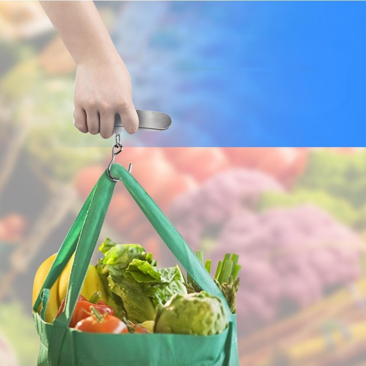 Eine Hand hält eine Waage mit einer Einkaufstasche. Die Tasche ist grün und mit Produkten gefüllt, vor einem blauen und verschwommenen Hintergrund.