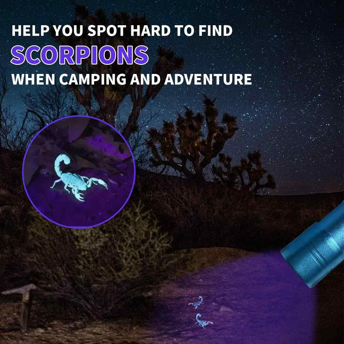 Eine Nachtszene mit einem durch violettes Licht hervorgehobenen Skorpion. Der Text lautet: 'Hilft Ihnen, schwer zu findende Skorpione beim Camping zu entdecken'.