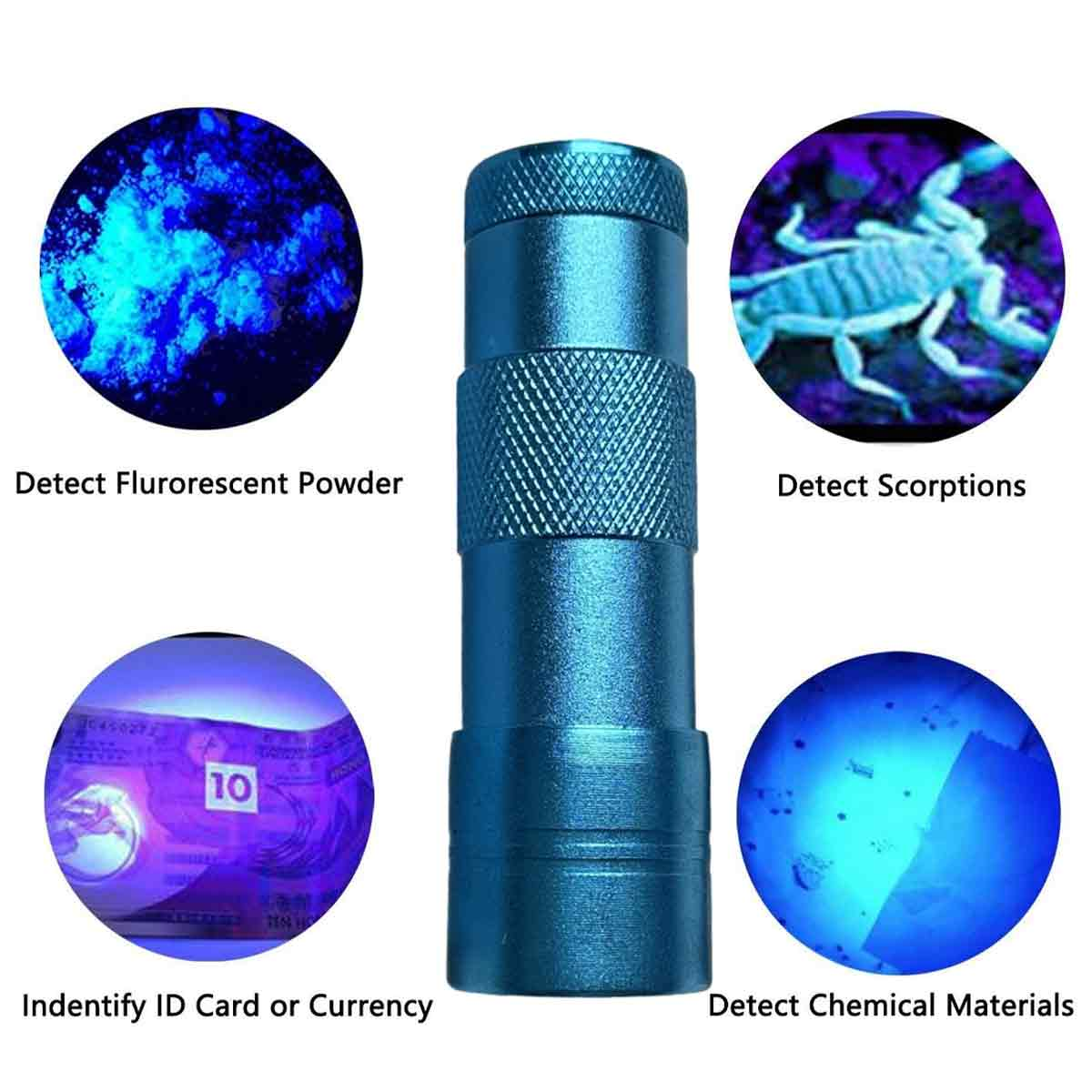 Eine blaue Taschenlampe ist von kreisförmigen Bildern umgeben. Diese zeigen leuchtendes Pulver, einen Skorpion, Währung und chemische Stoffe.
