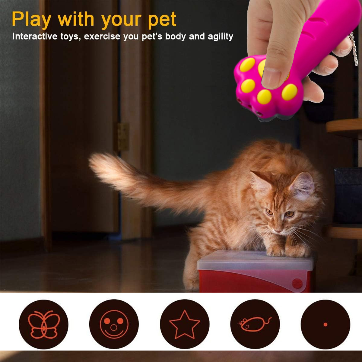 Eine Hand hält ein rosa Haustierspielzeug mit gelben Punkten über einer orangefarbenen Katze. Die Katze schaut auf eine rote Box. Dunkler Hintergrund.