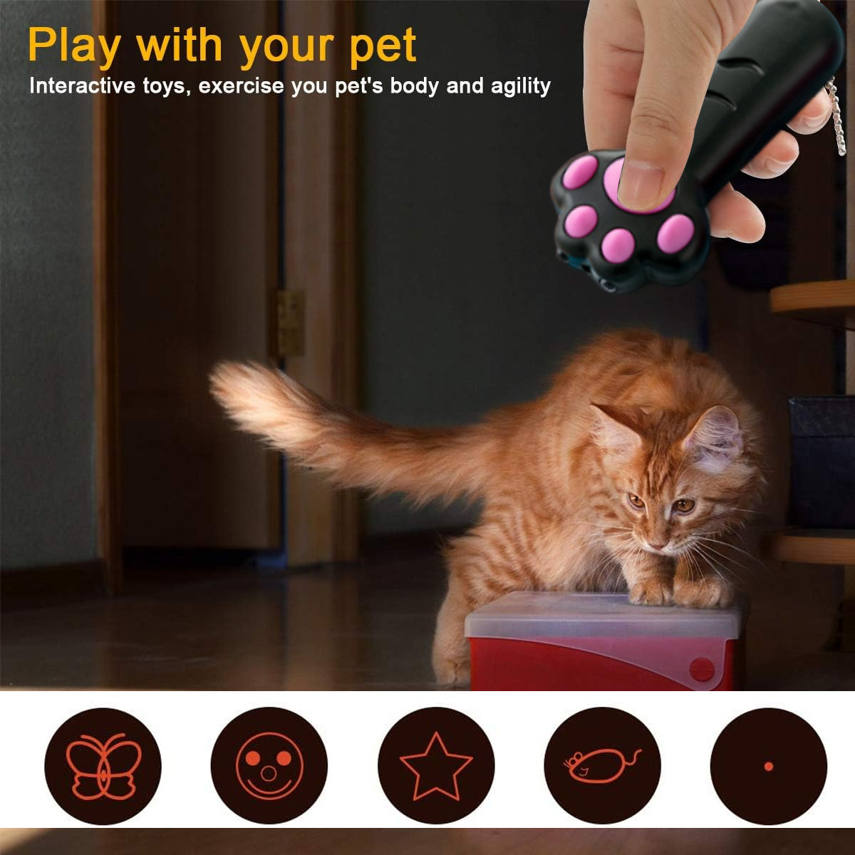 Eine orangefarbene Katze schaut auf ein pfotenförmiges Spielzeug. Eine Hand hält das Spielzeug über der Katze. Das Spielzeug hat rosa Pads. Der Hintergrund ist dunkel.