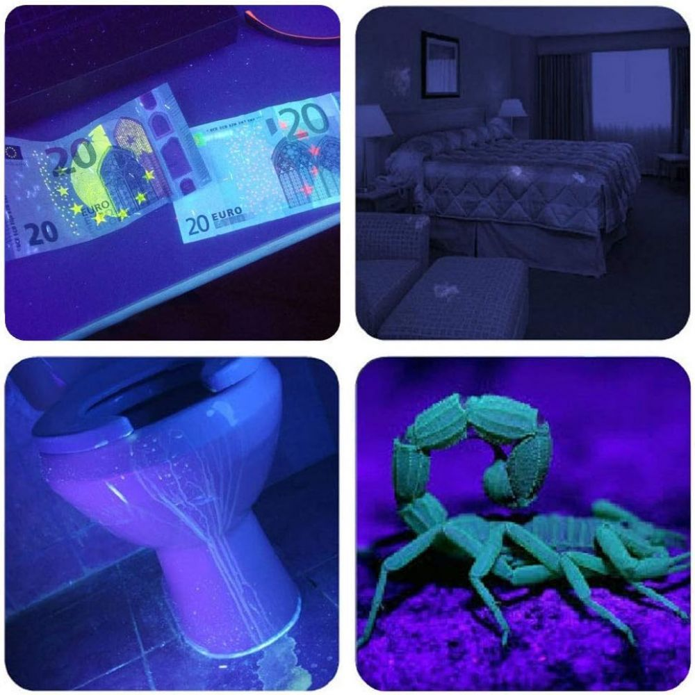 Vier Bilder unter UV-Licht: Euroscheine, Hotelzimmer, Toilette und ein Skorpion.
