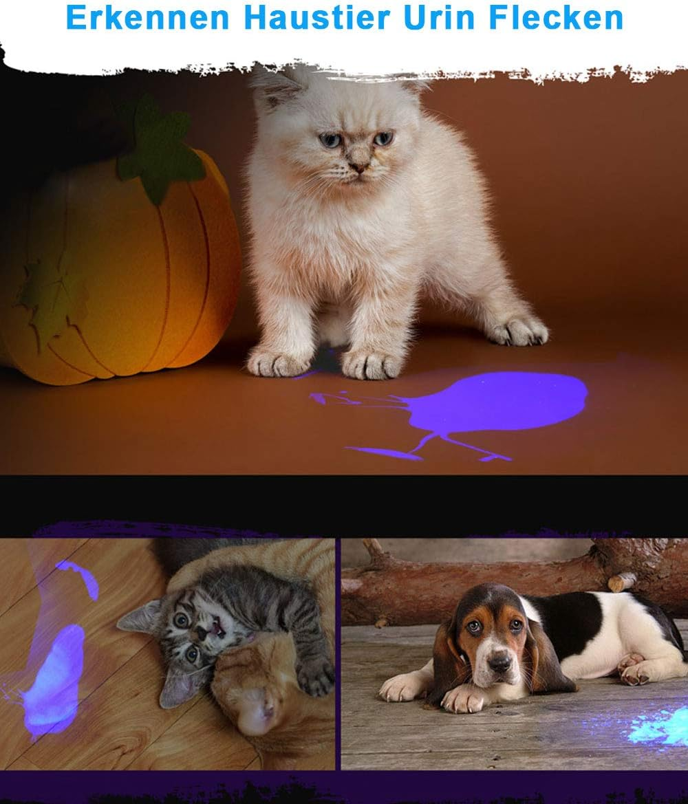 Eine weiße Katze steht in der Nähe eines blau leuchtenden Flecks. Unten sind zwei Kätzchen und ein Hund abgebildet. Oben steht 'Erkennen Haustier Urin Flecken'.