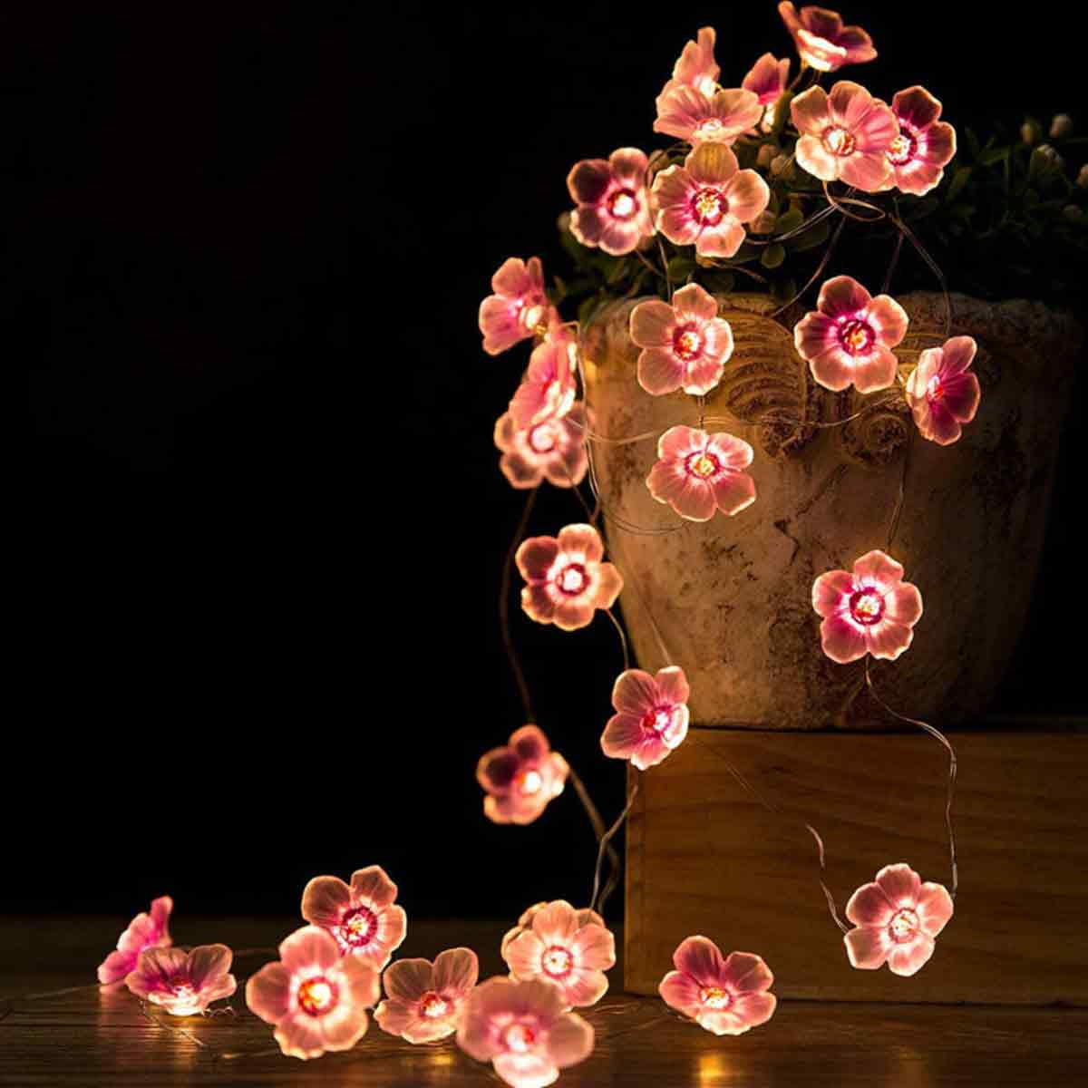 Rosa Blütenlichter an einer Schnur, einige in einem Topf. Dunkler Hintergrund. Die Blumen sind beleuchtet.