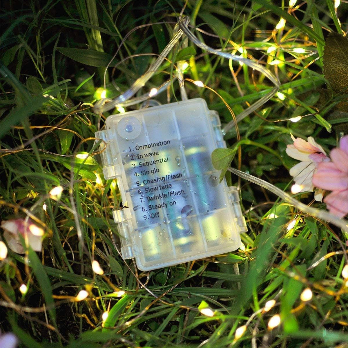 Ein klarer Kunststoff-Akkupack mit Lichteinstellungen liegt im Gras. Lichterketten sind darum herum verstreut. Im Hintergrund sind Blumen zu sehen.